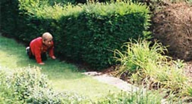 Sie liegen hinter eniem Busch.