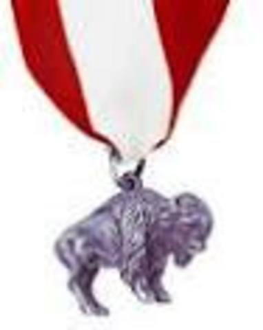 Silver Buffalo Award