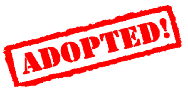 adopted