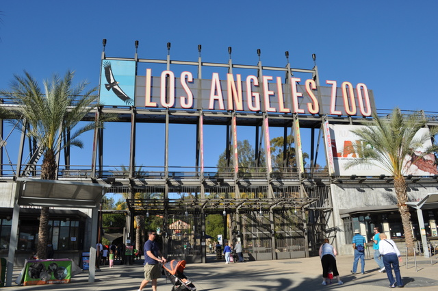 Los Angeles Zoo Field Trip