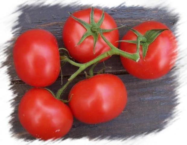 El tomate Flavr Savr