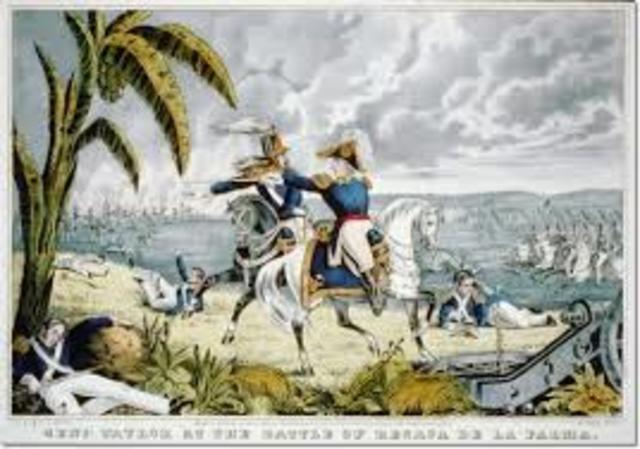 The Battle of Resaca de la Palma
