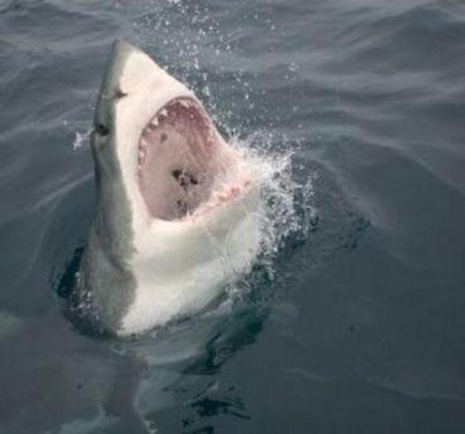 Rising Action 1: Conflict