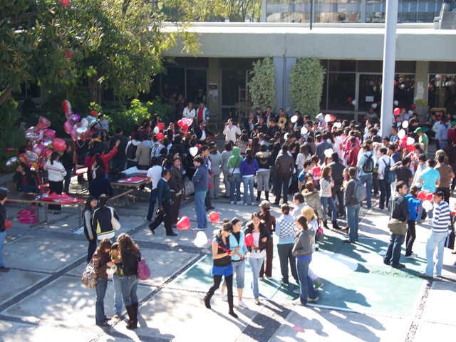 Dia de San Valentin -Secundaria-