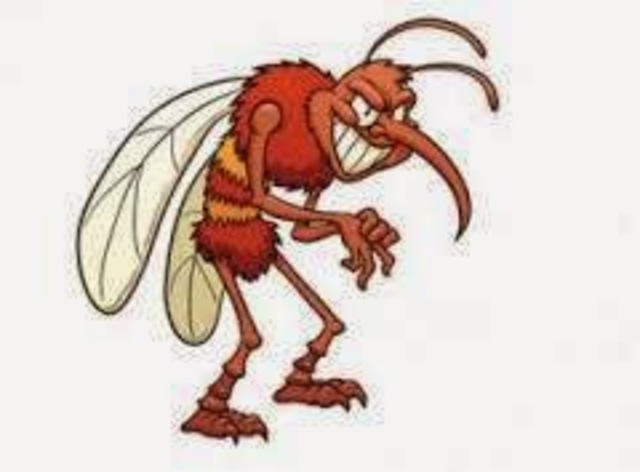 donde se dio el virus