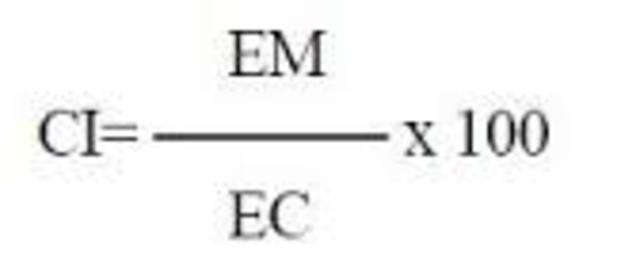 William Stern, Cociente Intelectual