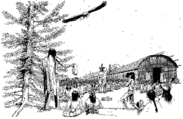 Aborginals and their Government