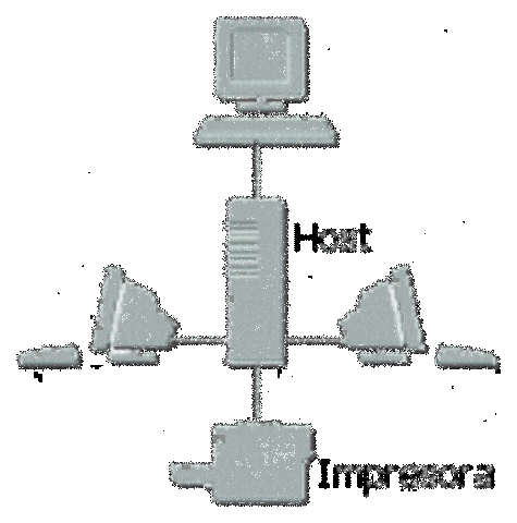 La cantidad de Host aunmenta a 100.000