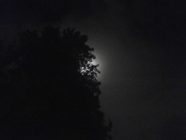 The right step to follow