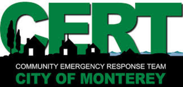 DARPA forma el equipo de respuesta de emergencia informatica (CERT)