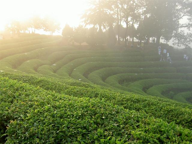 Expostion: Background:1