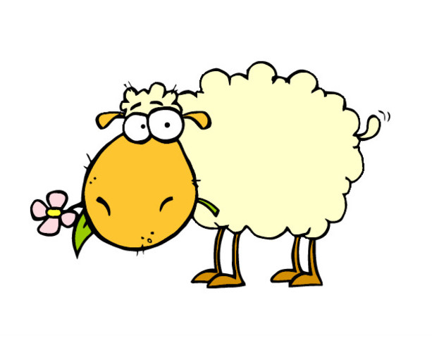 Clonacion de la oveja