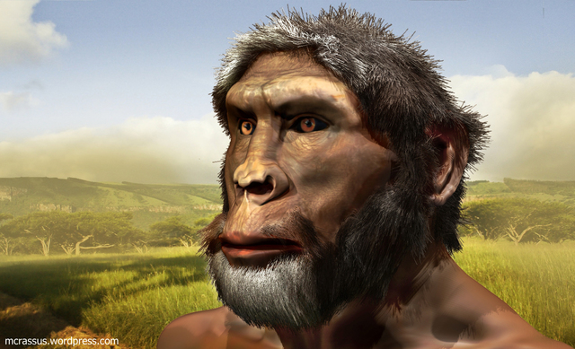 Homo rudolfensis