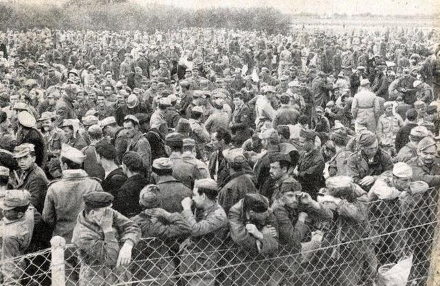 Germans Surrender In Tunisia