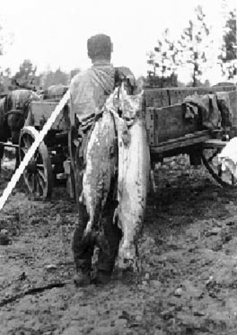 What did the treaties of the northwest have over the fishers and thier land?