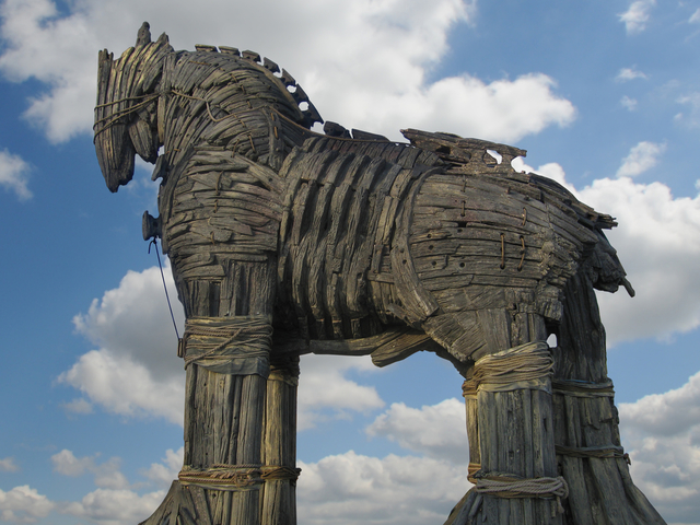 The wooden horse