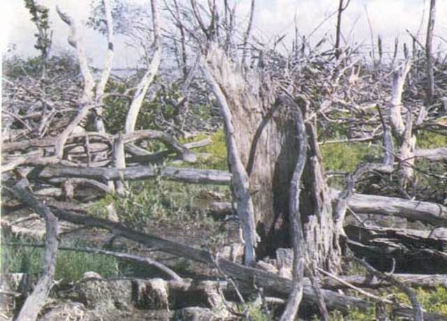 Increase in Sea-Level Continued