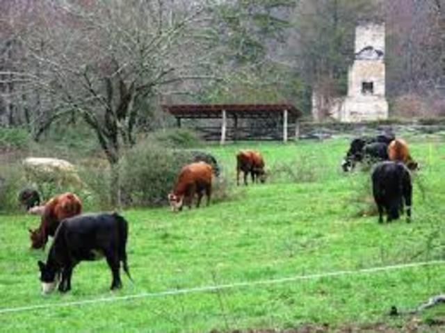 When North Carolina got it's name