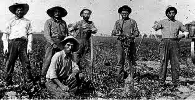 First Mexican Farm Workers Association