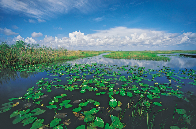 75 Years Later Continued