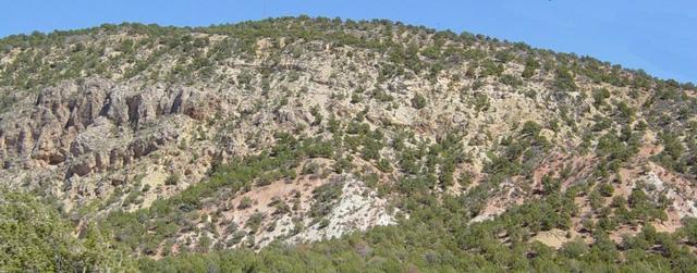 Kaibab Limestone (Upper Permian)