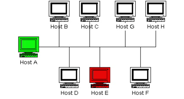 LOS HOSTS SUPERAN LOS 10000