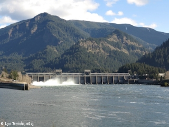 The Bonneville Dam