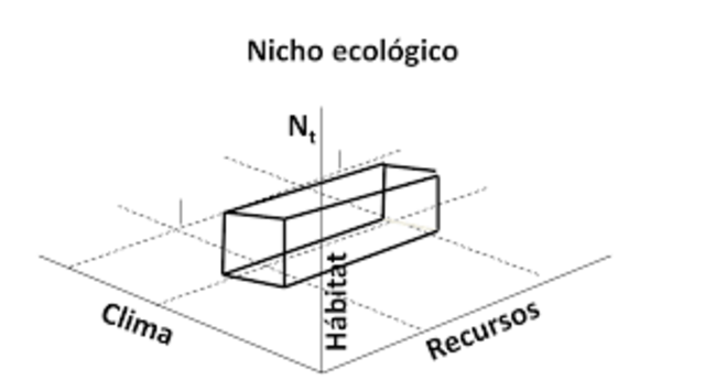 Ecología contemporanea. Hutchinson