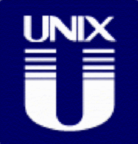 Uso generalizado de las computadoras personales y de las minicomputadoras basadas en Unix