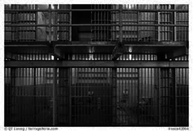 only 6% of the convicts were in jail