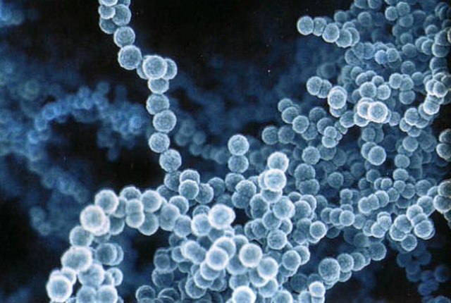 Знаменательная дата в истории Интернета.