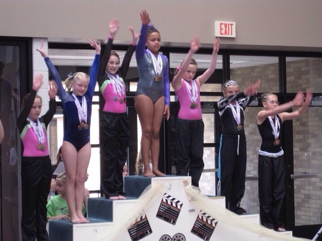 Level 3 state All Around champion out of 14 in gymnastics.