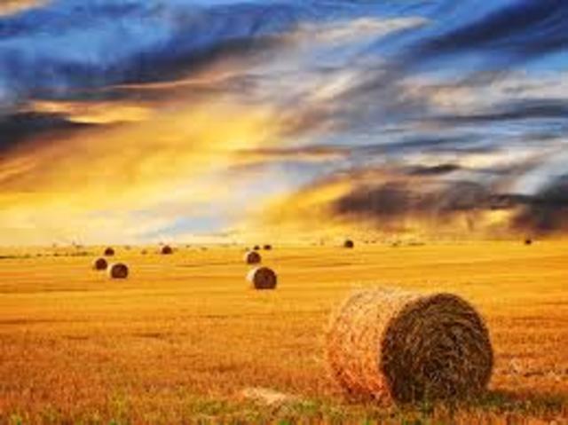 conneticon establishment