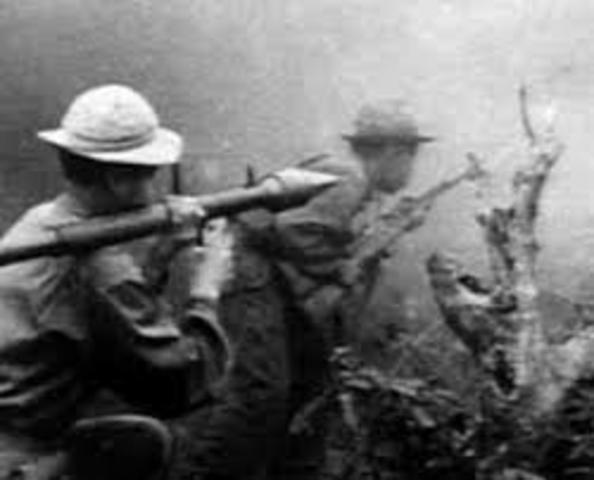 North Vietnamese launch the Tet offensive