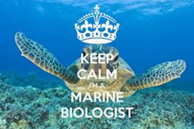 Marine Biologist