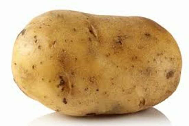 potato population boom