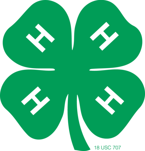 started 4-H