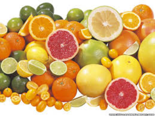 discovers that citrrus fruit prevents scurvy