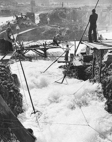 Most Important Salmon Run