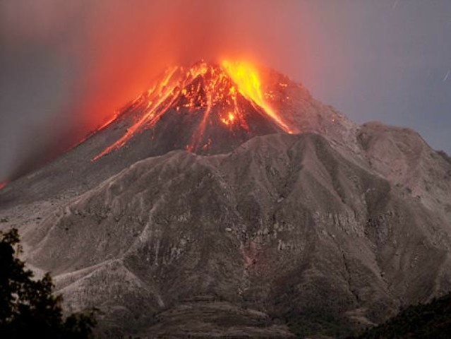 Type of disturbance: Primary Ecological Succession