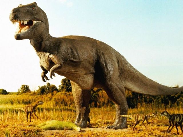 Evolución dinosaurios (225mill)