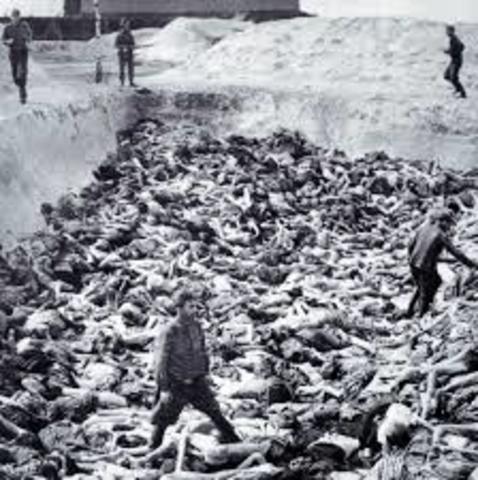 romans - 2,897 romans were gassed - during that time, their camps in Auschwitz were liquidated