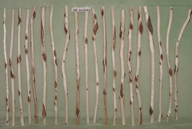 Exposition:backround,characters,and setting