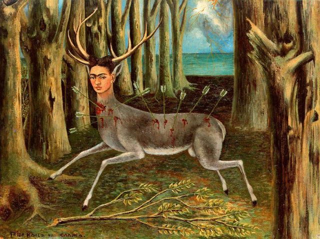 El venado herido