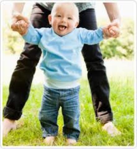 12 months cognitive and physical