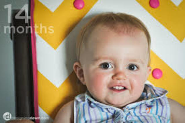 14 month cognitive and physical
