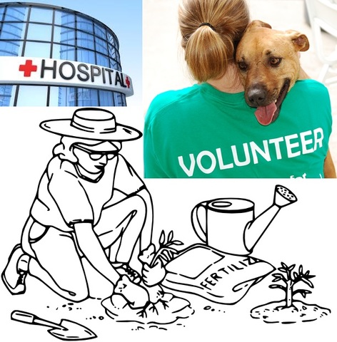 Still working, volunteering, & gardening