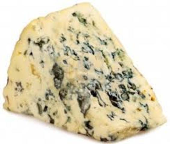 Von Hessling afirmó que las diversas fermentaciones de la leche eran causadas por hongos.