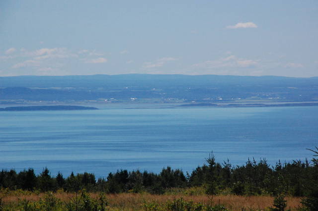 Discovered St. Lawrence River