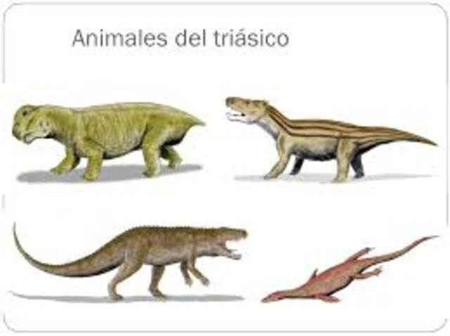 La Edad de los reptiles (286-248 mill)